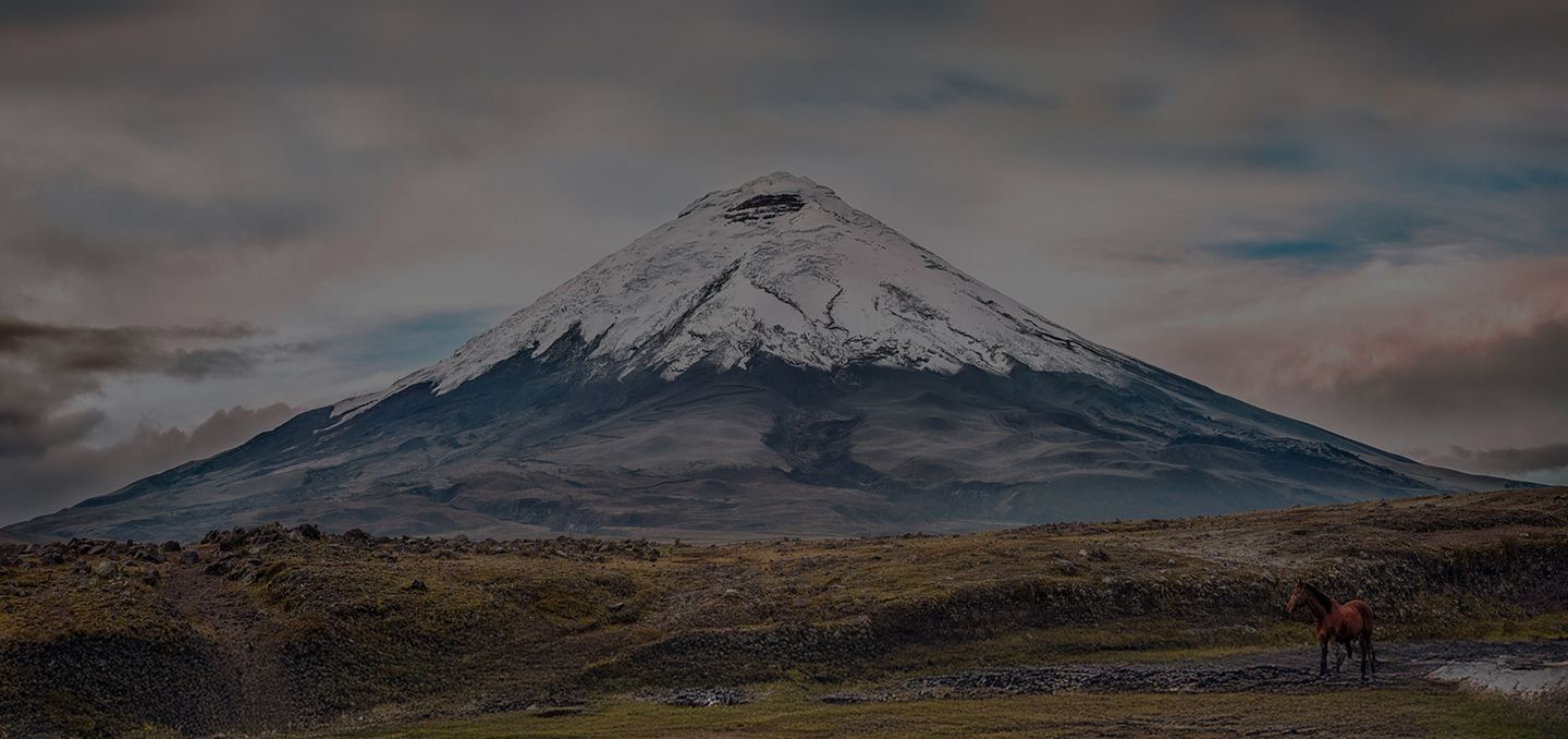 fondo3